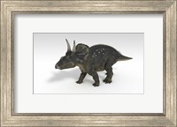 Framed Triceratops Dinosaur 3