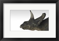 Framed Triceratops Dinosaur 4