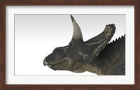 Framed Triceratops Dinosaur 4