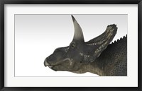 Triceratops Dinosaur 4 Framed Print