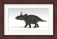 Framed Triceratops Dinosaur 5