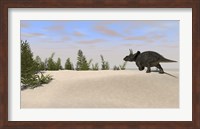 Framed Triceratops Dinosaur 7