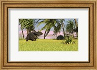 Framed Triceratops Dinosaur 9