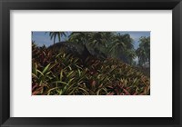 Framed Triceratops Grazing on Lush Foliage