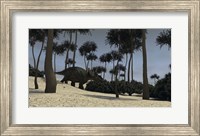 Framed Triceratops in a Prehistoric Environment