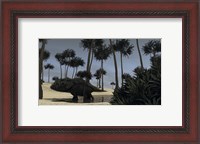 Framed Triceratops Roaming in a Riverbed