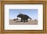 Framed Triceratops Walking across a Barren Landscape 2