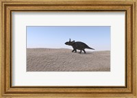 Framed Triceratops Walking across a Barren Landscape 3