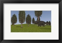 Framed Triceratops Walking across a Grassy Field 1