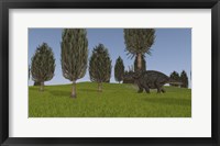 Framed Triceratops Walking across a Grassy Field 1