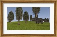 Framed Triceratops Walking across a Grassy Field 1