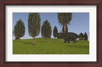 Framed Triceratops Walking across a Grassy Field 1