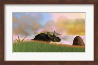 Framed Triceratops Walking across a Grassy Field 3