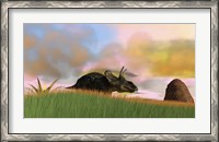 Framed Triceratops Walking across a Grassy Field 3