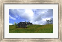Framed Triceratops Walking across Prehistoric Grasslands