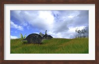 Framed Triceratops Walking across Prehistoric Grasslands