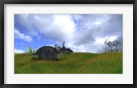Triceratops Walking across Prehistoric Grasslands Framed Print