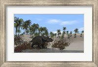 Framed Triceratops Walking along the Shoreline 1