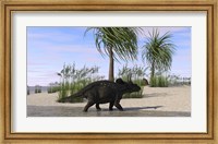 Framed Triceratops Walking along the Shoreline 2