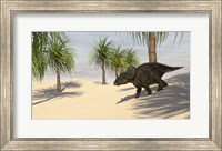 Framed Triceratops Walking in a Tropical Environment 2