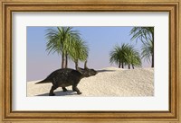 Framed Triceratops Walking in a Tropical Environment 3