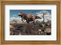 Framed T Rex is about to make a Meal of a Dead Triceratops
