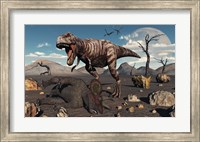 Framed T Rex is about to make a Meal of a Dead Triceratops