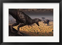 Framed Tyrannosaurus Rex spots two Passing Triceratops