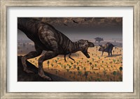 Framed Tyrannosaurus Rex spots two Passing Triceratops