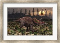 Framed Artist's concept of Triceratops