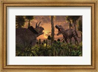 Framed T- Rex and Triceratops meet for a Battle 1