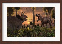 Framed T- Rex and Triceratops meet for a Battle 1
