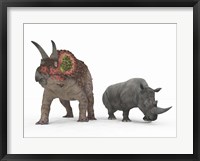 An adult Triceratops Compared to a modern adult White Rhinoceros Framed Print