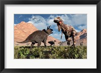 Framed Prehistoric battle between a Triceratops and Tyrannosaurus Rex