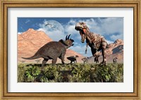 Framed Prehistoric battle between a Triceratops and Tyrannosaurus Rex