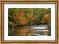 Framed Hint of Fall