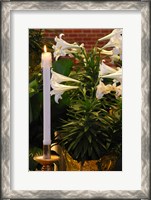 Framed Easter Flowers