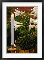 Easter Flowers Framed Print