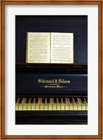 Framed Piano