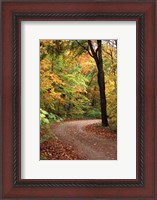 Framed Fall Road