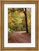 Framed Fall Road