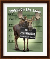 Framed Moose on the Loose