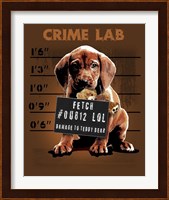 Framed Crime Lab