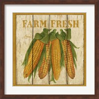 Framed Farm Fresh Corn