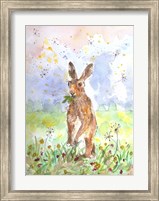 Framed Hare Today