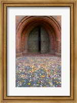 Framed Flower petals, St Anne's Church, Vilnius, Lithuania