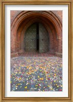 Framed Flower petals, St Anne's Church, Vilnius, Lithuania