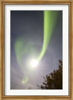 Framed Aurora Borealis and Venus by Lake Laberge, Yukon, Canada