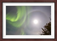 Framed Aurora borealis, Full Moon, Halo and Venus by Lake Laberge, Yukon, Canada