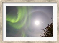 Framed Aurora borealis, Full Moon, Halo and Venus by Lake Laberge, Yukon, Canada